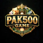 PAK500 Game Logo
