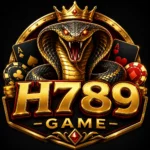 H789 Game Logo