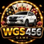 WGS456 Game Logo