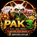 Pak3 Game Logo